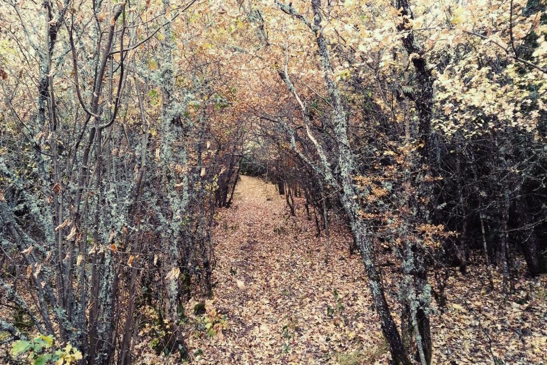 Photo of Others in Sault