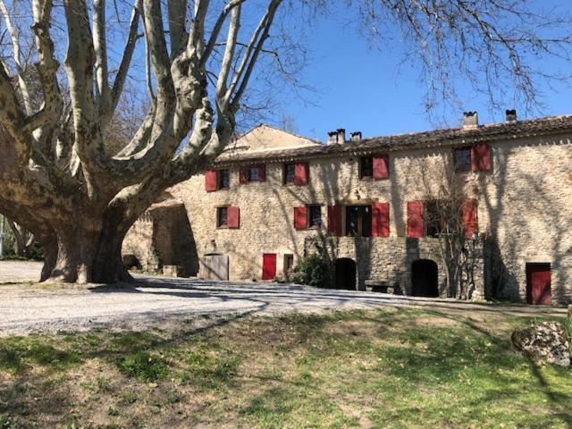 Photo of Others in Forcalquier