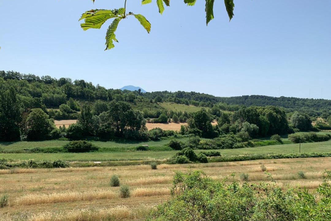 Photo of Others in Roumoules