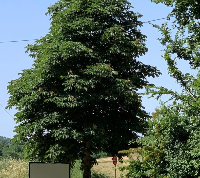 Photo of Others in Roumoules