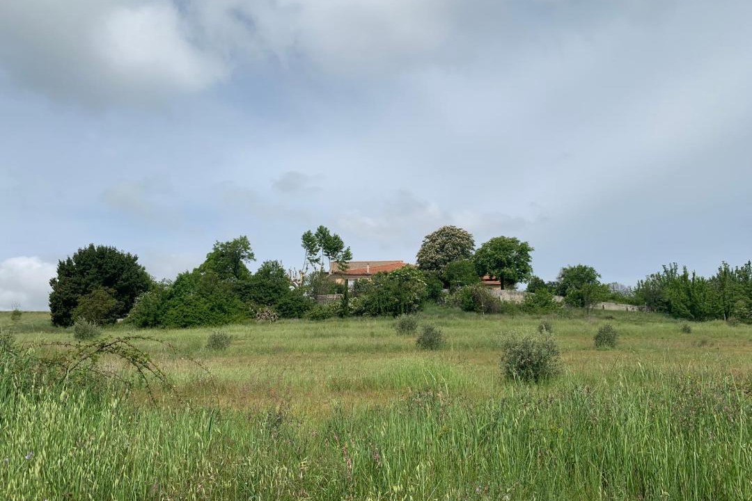 Photo of Others in Roumoules