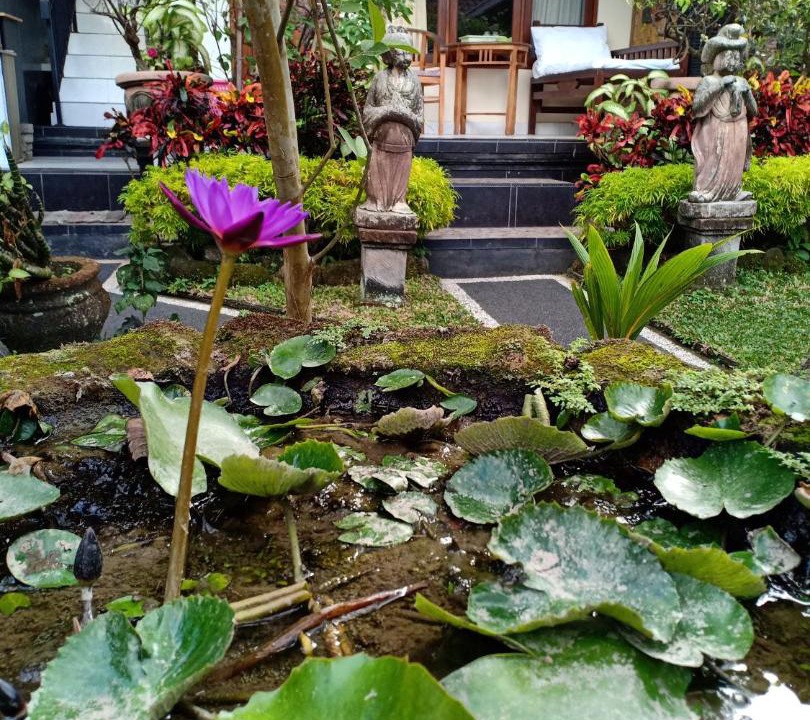 Photo of Others in Ubud City-Centre