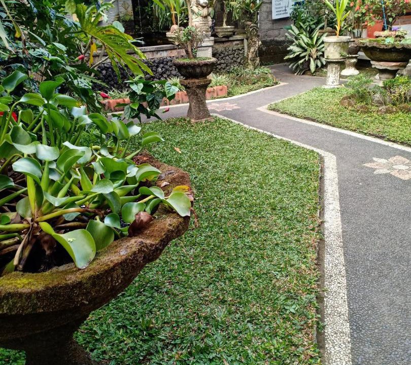 Photo of Others in Ubud City-Centre