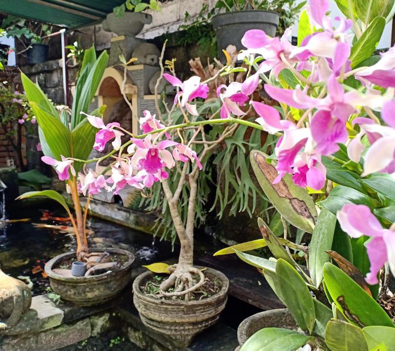 Photo of Patio Balcony in Ubud City-Centre