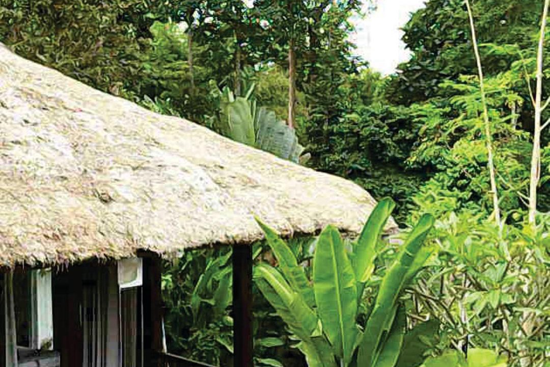 Photo of Others in Pengosekan