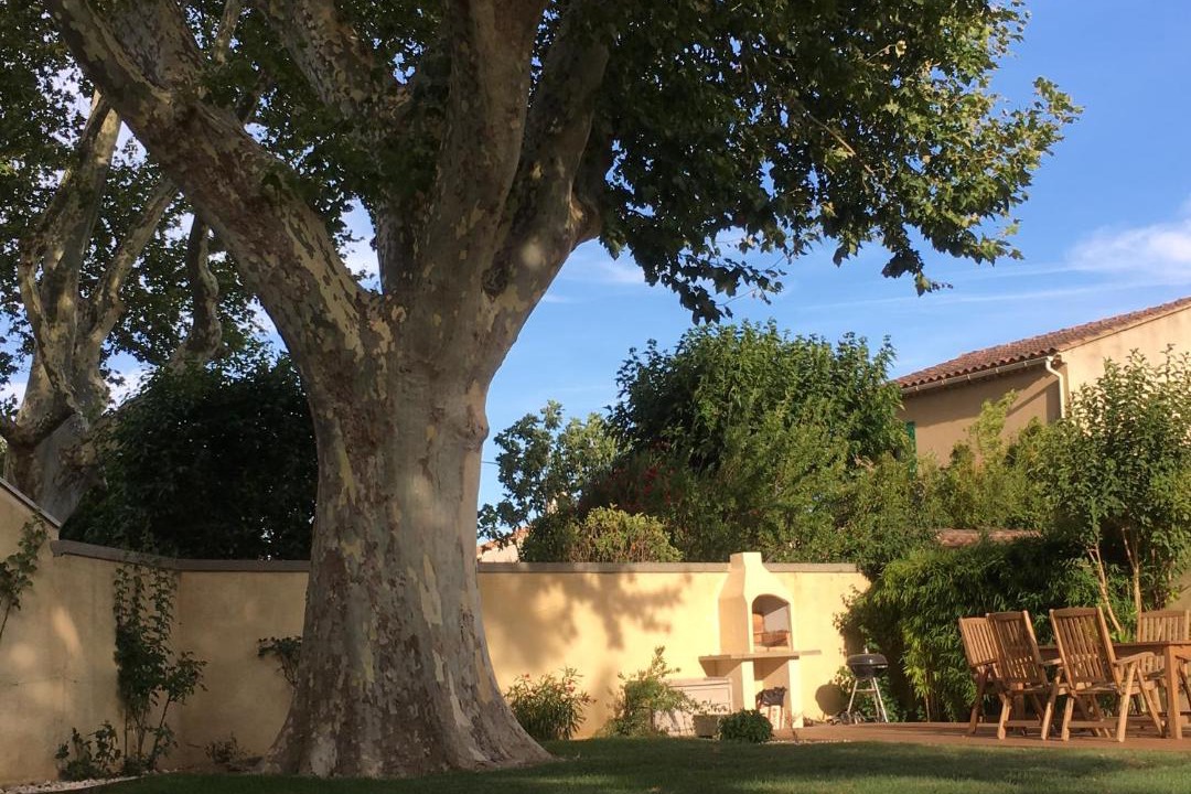 Photo of Buildings in Avignon