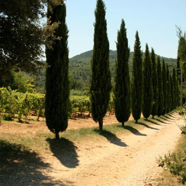 Photo of Others in Mormoiron