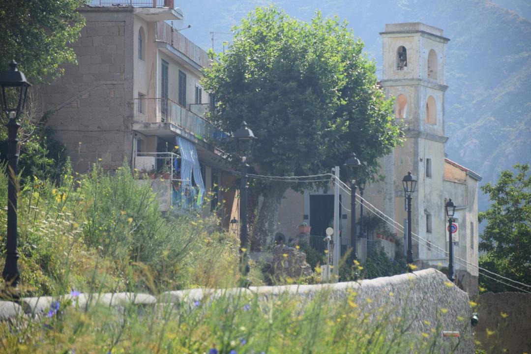 Photo of Others in Minori