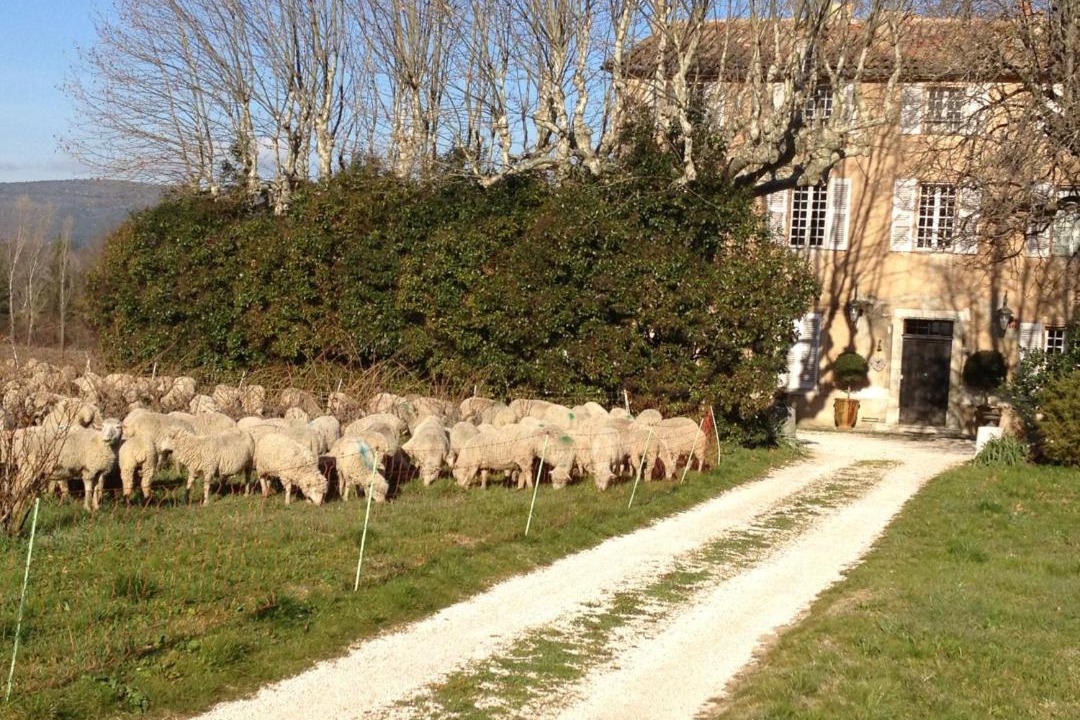 Photo of Others in Brignoles