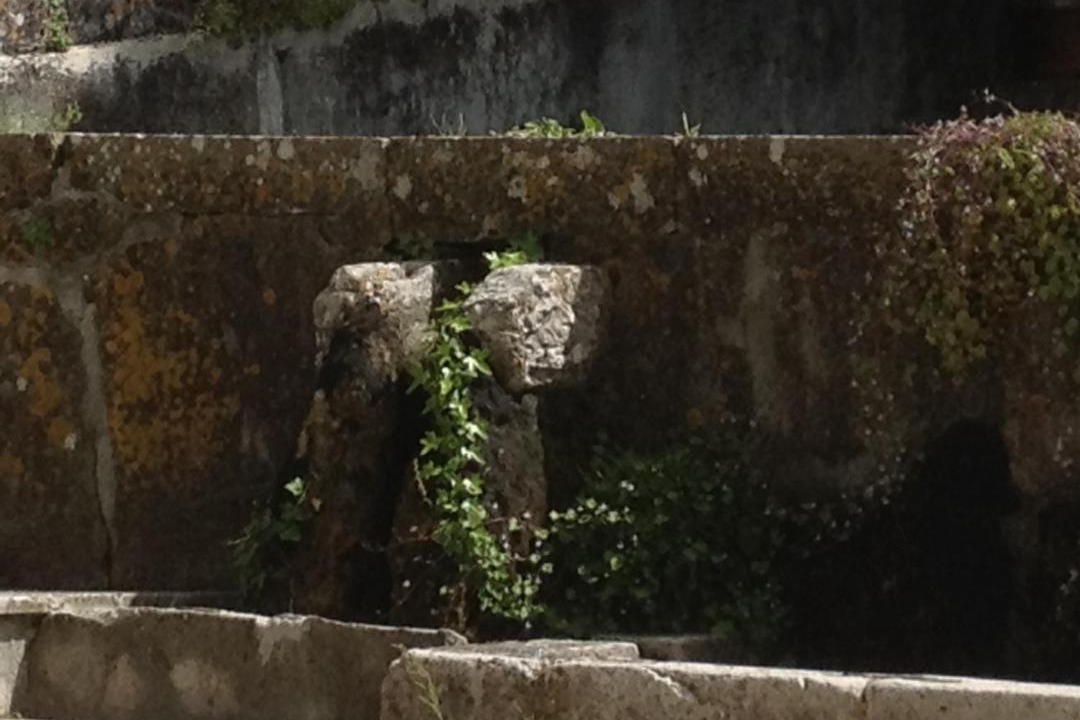 Photo of Others in Brignoles