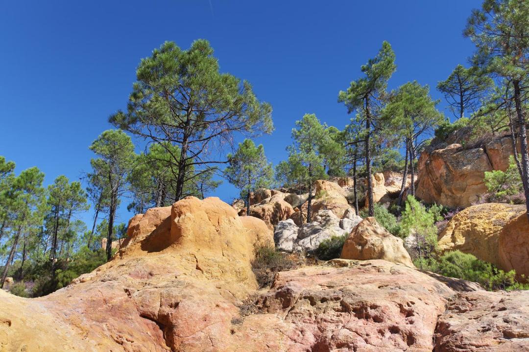 Photo of Others in Goult
