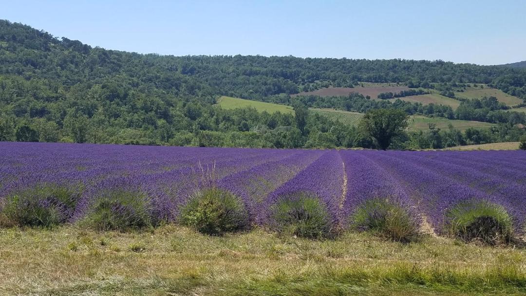 Photo of Others in Saint-Maurice-sur-Eygues
