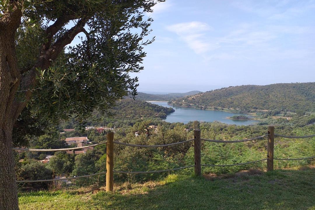 Photo of Outdoor in Bormes-Les-Mimosas