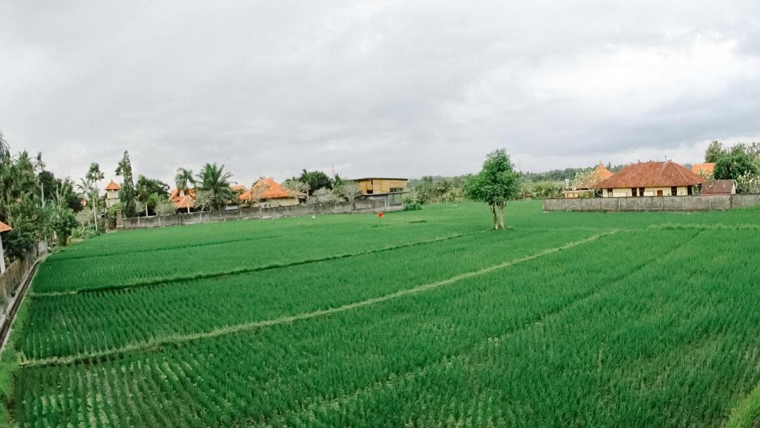 Photo of Others in Batuan