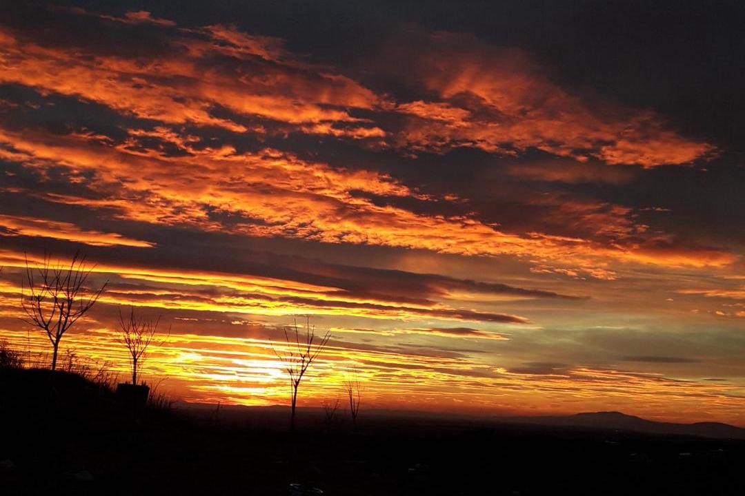 Photo of Others in Saint-Jurs