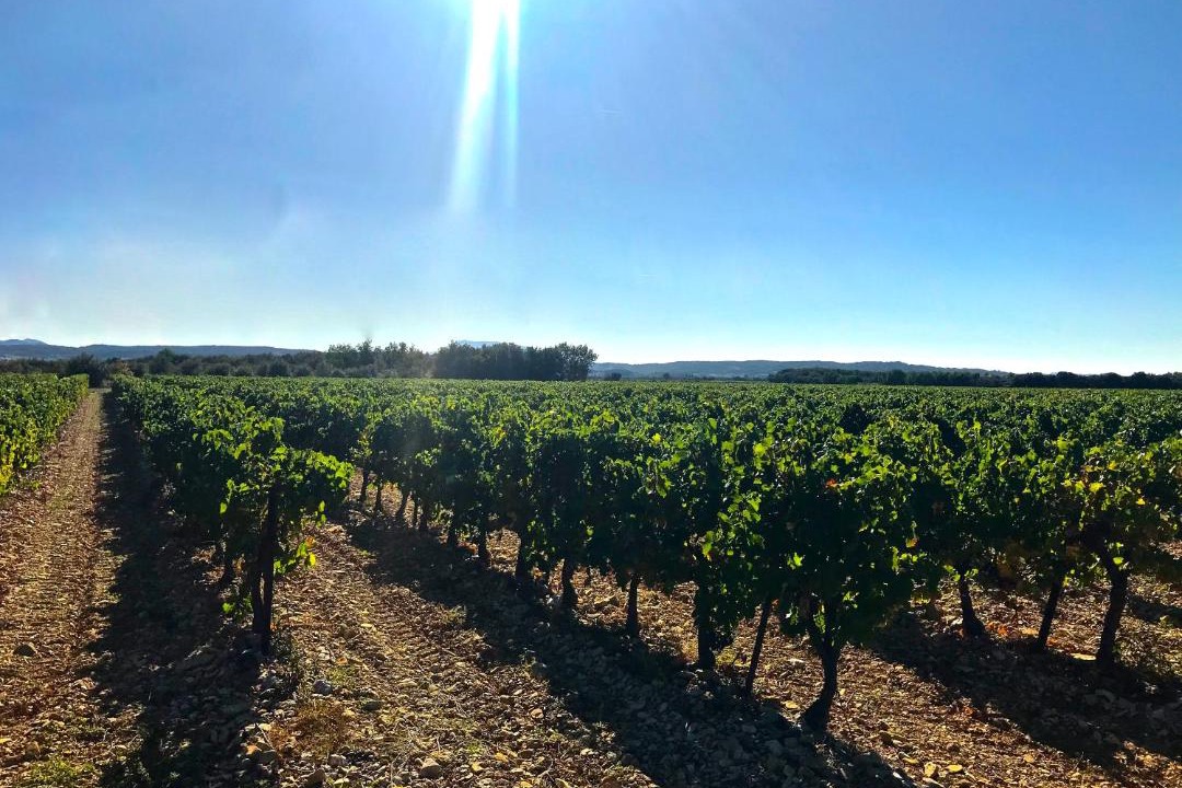 Photo of Outdoor in Grillon