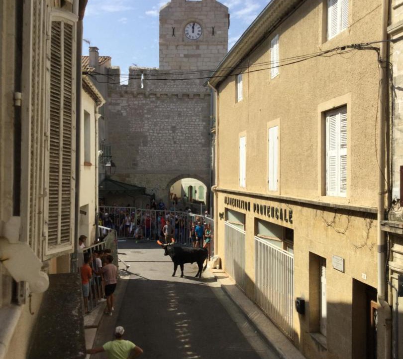 Photo of Others in Noves