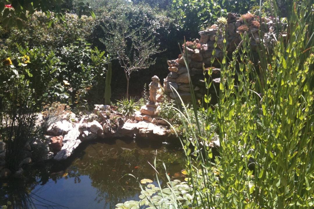 Photo of Outdoor in Ledenon