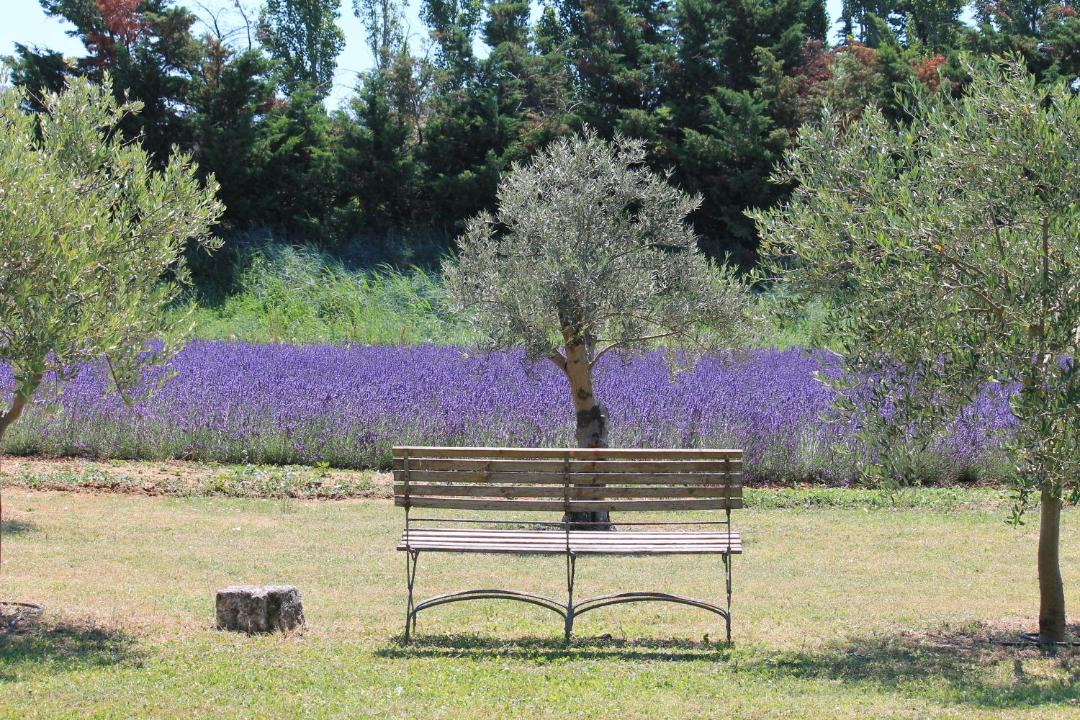 Photo of Outdoor in Bonnieux