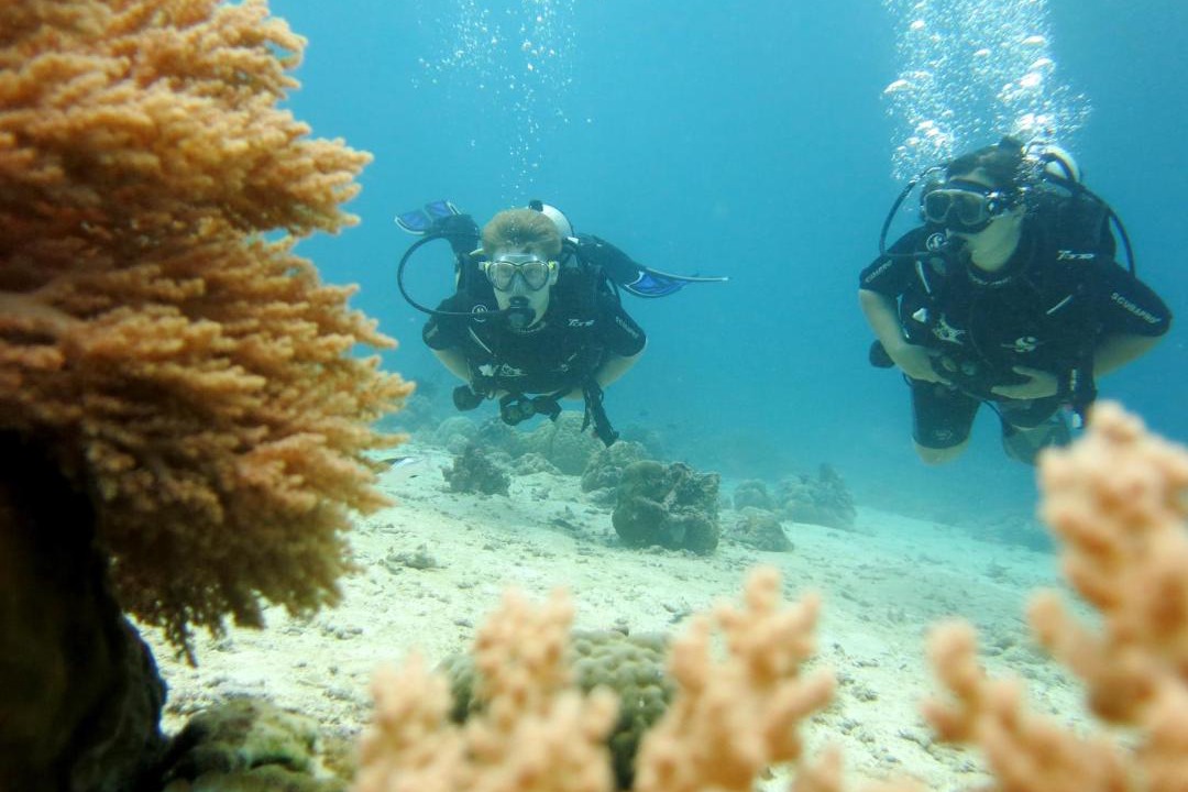 Photo of Others in Pemuteran