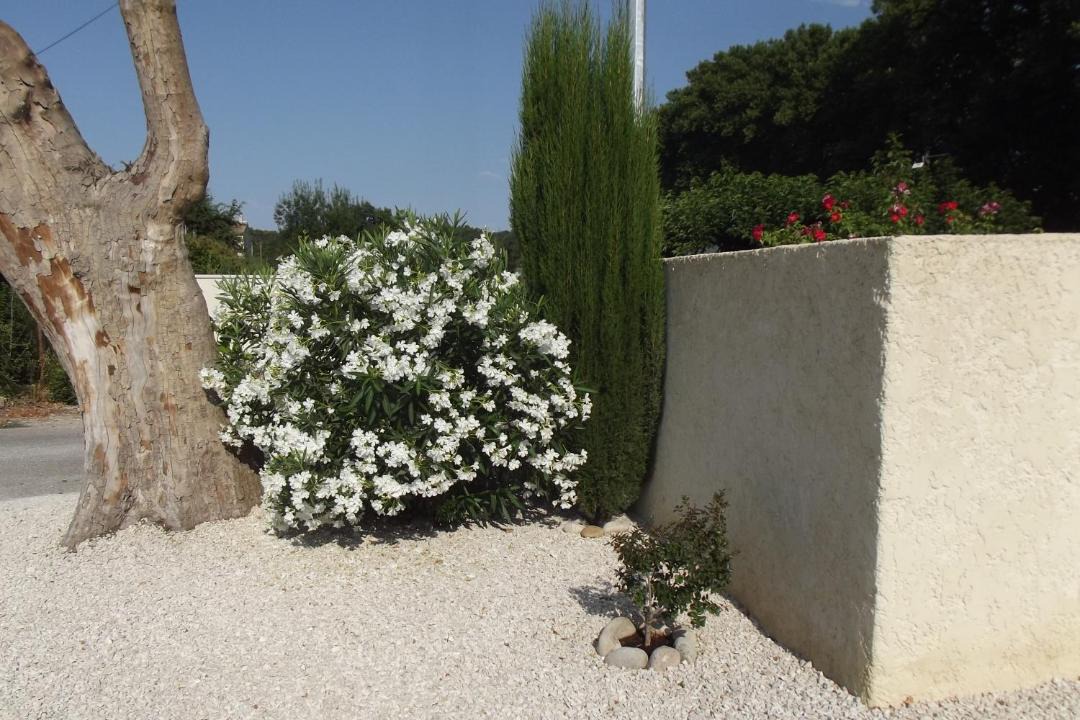 Photo of Others in Paluds de Noves