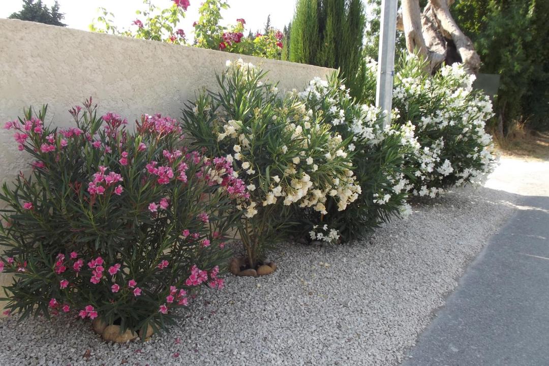 Photo of Others in Paluds de Noves