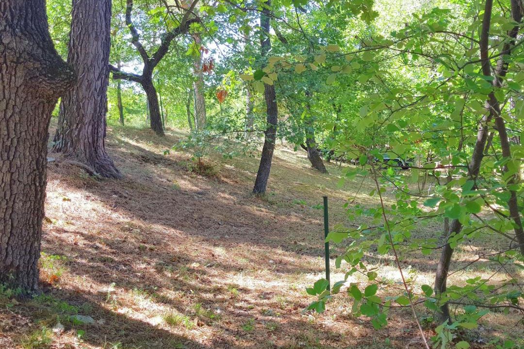 Photo of Outdoor in Faucon