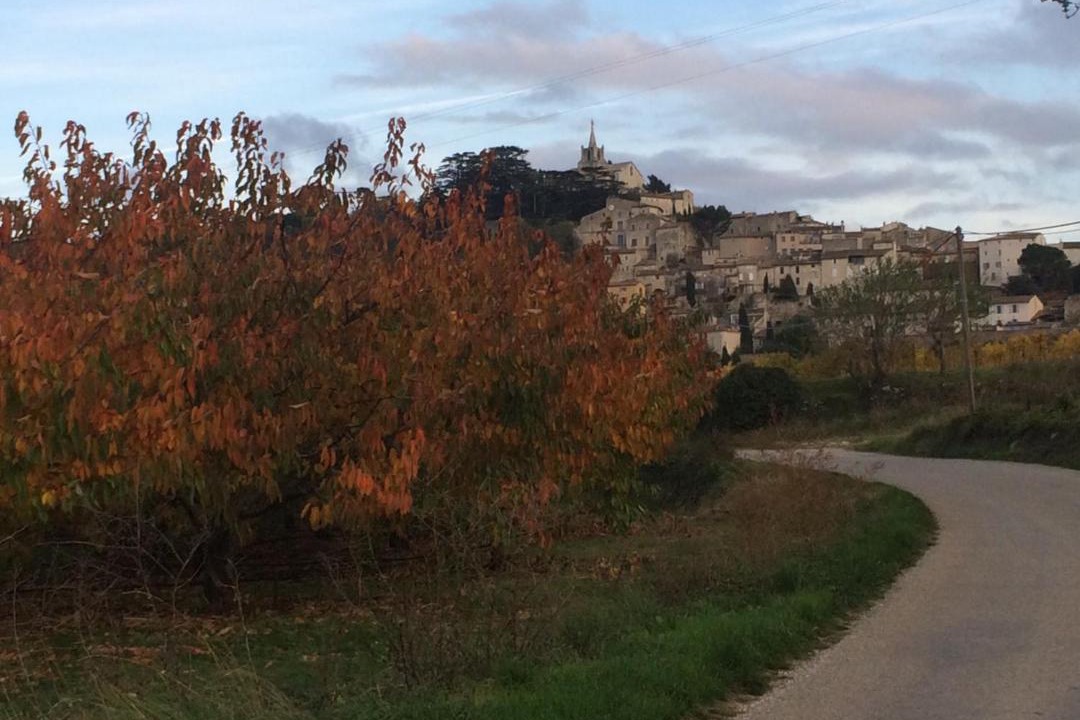 Photo of Others in Bonnieux