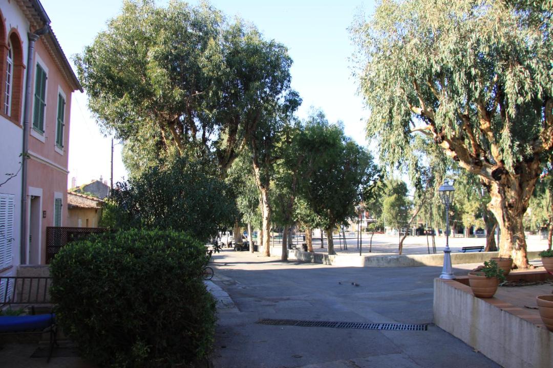 Photo of Others in Porquerolles