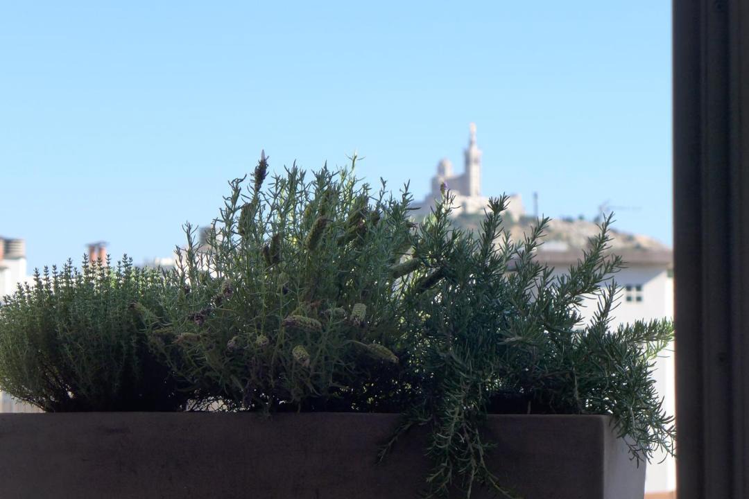 Photo of Others in Hotel-de-Ville