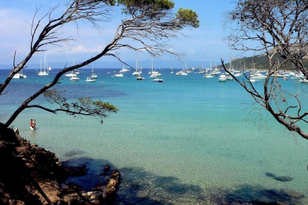 Photo of Others in Porquerolles