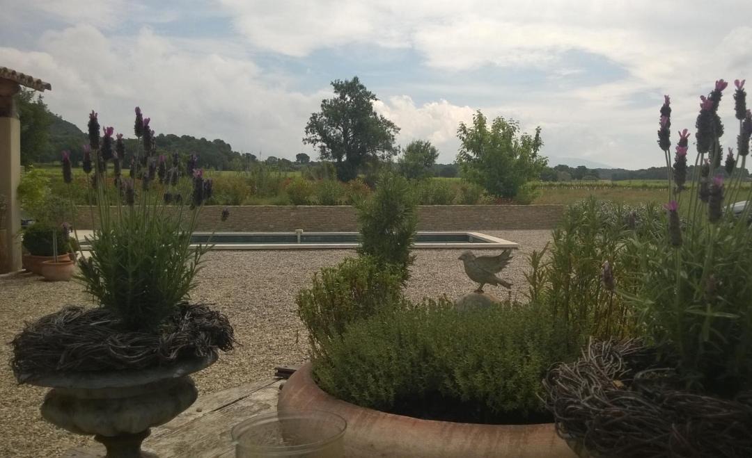 Photo of Others in Vaison-la-Romaine