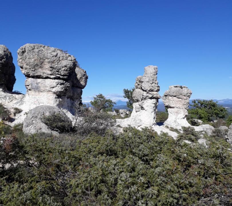 Photo of Others in Forcalquier