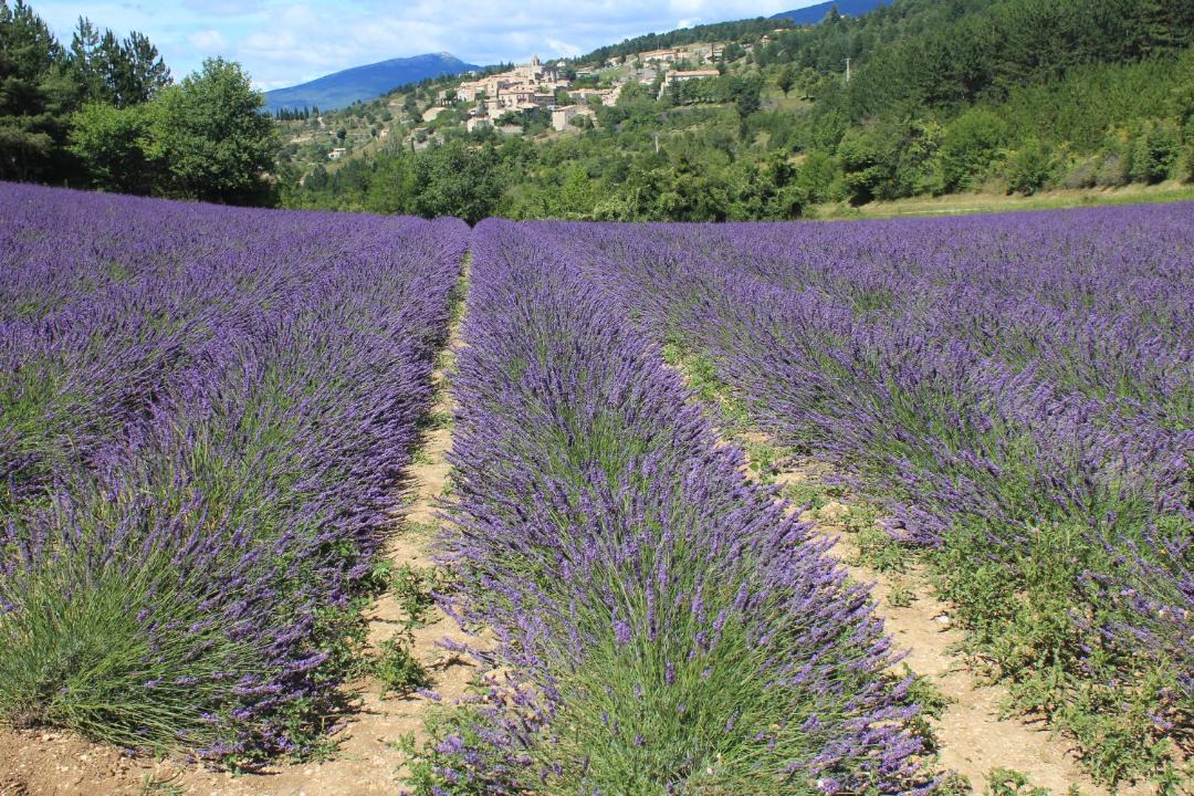 Photo of Outdoor in Crillon-le-Brave