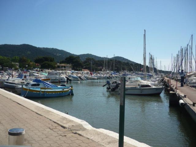 Photo of Others in Carqueiranne