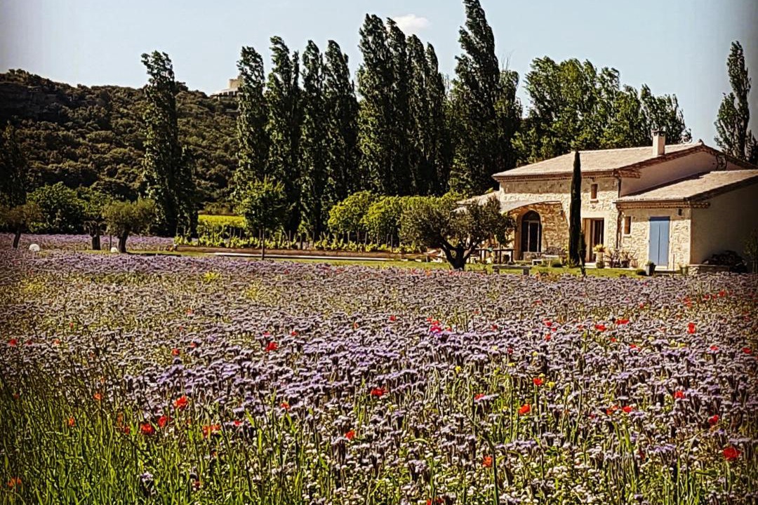 Photo of Others in Castillon-du-Gard