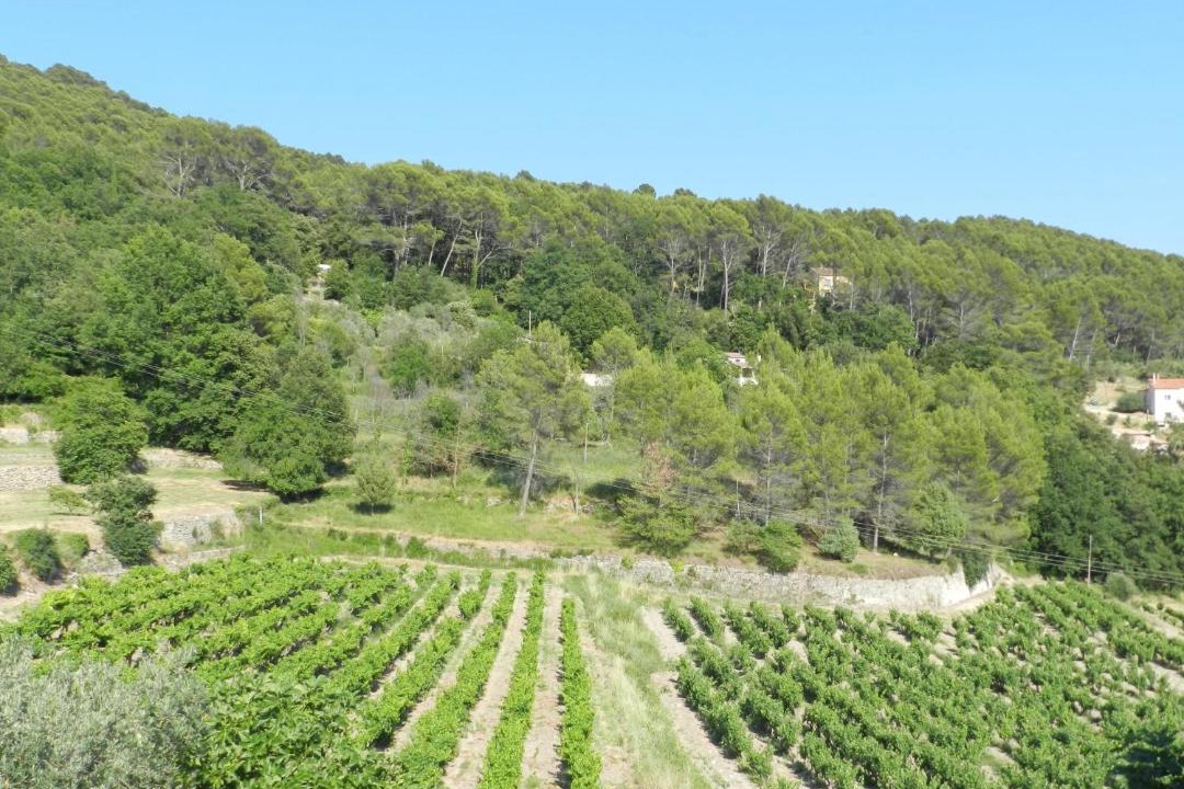 Photo of Outdoor in Draguignan