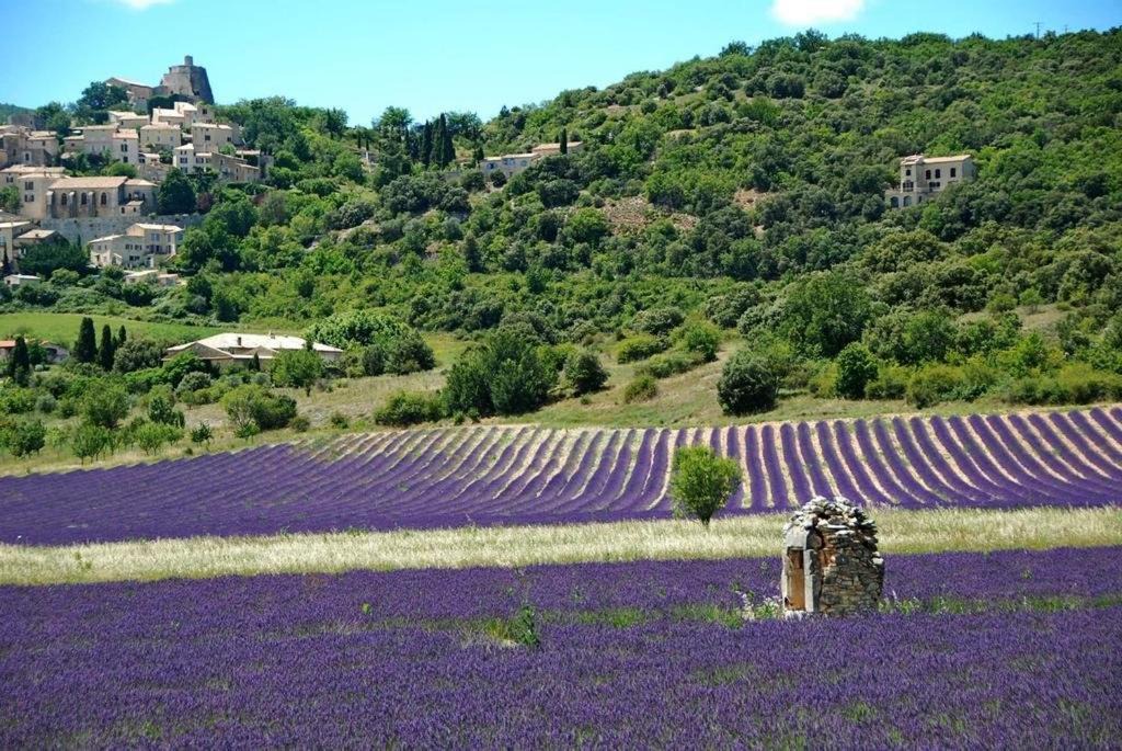 Photo of Others in Saint-Saturnin-les-Apt