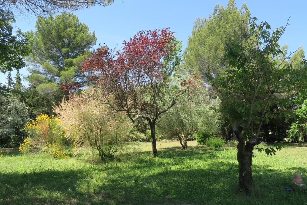 Photo of Outdoor in Lourmarin