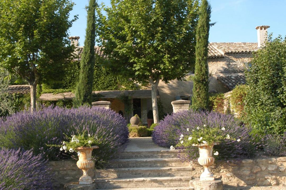 Photo of Others in Menerbes