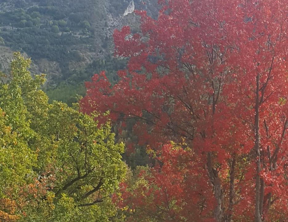 Photo of Outdoor in Barret-sur-Meouge