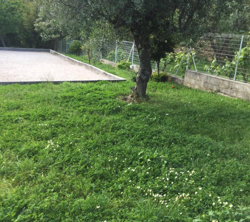 Photo of Others in Bormes-Les-Mimosas