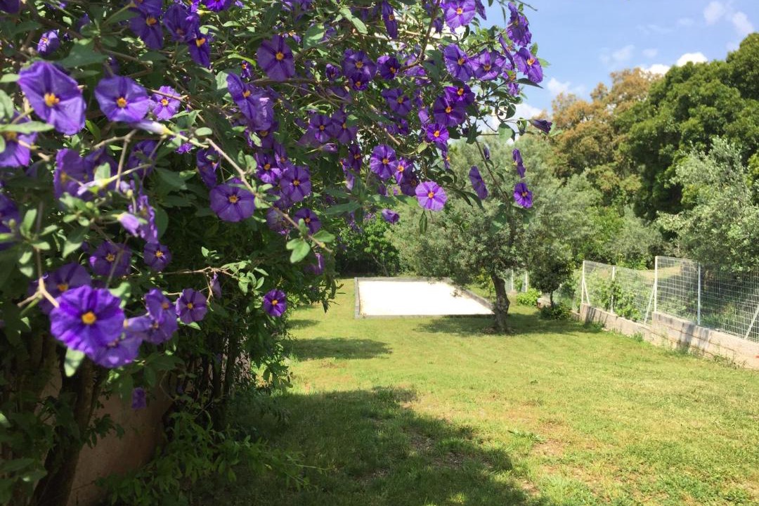 Photo of Others in Bormes-Les-Mimosas