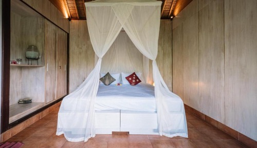 Superior Room with Jungle View