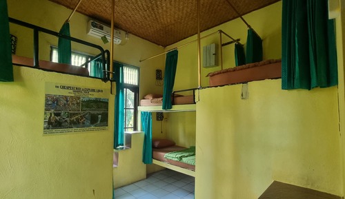 Standard Shared Dormitory