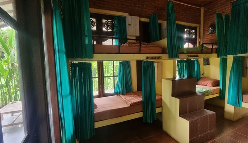 Superior Shared Dormitory