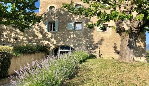 Superior Villa